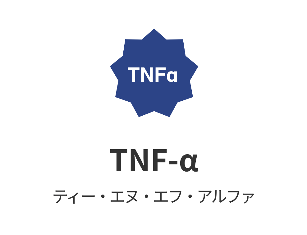 TNF-α ティー・エヌ・エフ・アルファ