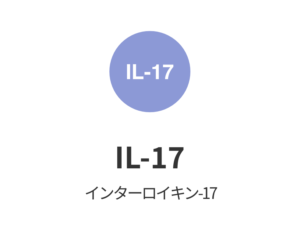 IL-17 インターロイキン-17