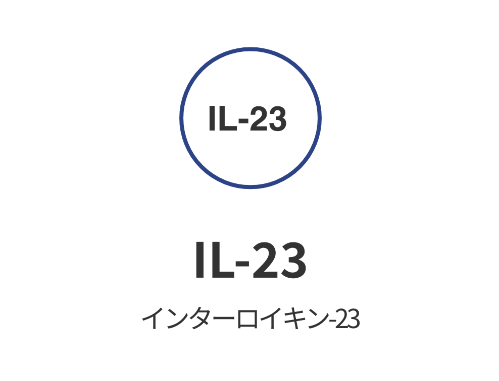 IL-23 インターロイキン-23